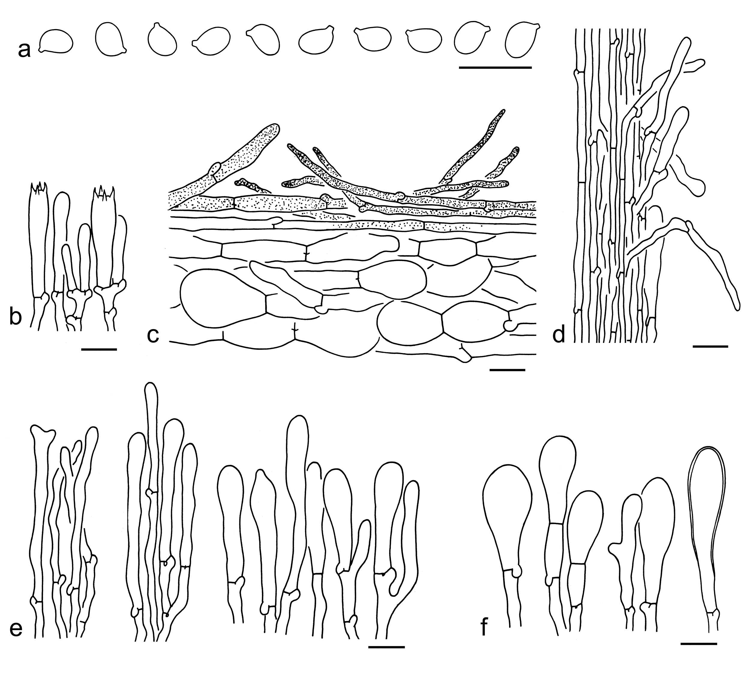 Figure 24